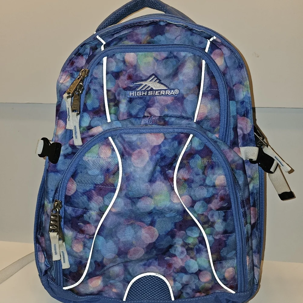 High Sierra‎ Multicolor Backpack with Abstract Design